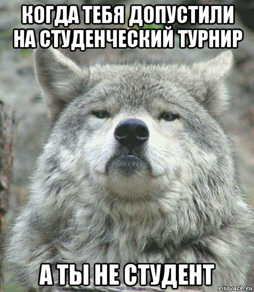 когда тебя допустили на студенческий турнир а ты не студент, Мем    Гордый волк