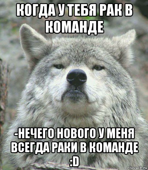 когда у тебя рак в команде -нечего нового у меня всегда раки в команде :d, Мем    Гордый волк