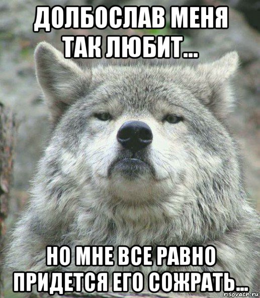 долбослав меня так любит... но мне все равно придется его сожрать..., Мем    Гордый волк