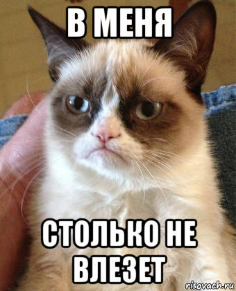 в меня столько не влезет, Мем Grumpy Cat small