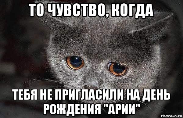 то чувство, когда тебя не пригласили на день рождения "арии", Мем  Грустный кот