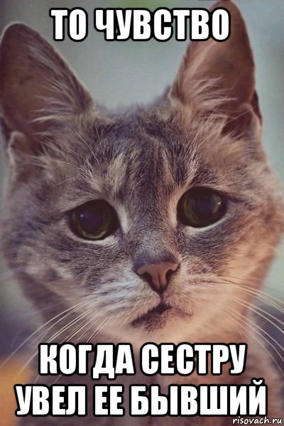 то чувство когда сестру увел ее бывший