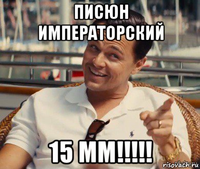 писюн императорский 15 мм!!!!!, Мем Хитрый Гэтсби