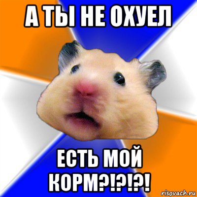 а ты не охуел есть мой корм?!?!?!, Мем Хомяк