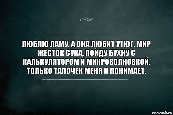 Люблю Ламу. А она любит утюг. Мир жесток сука, пойду бухну с калькулятором и микроволновкой. Только тапочек меня и понимает., Комикс Игра Слов