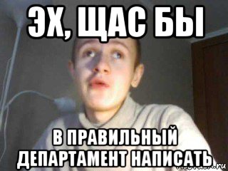 эх, щас бы в правильный департамент написать, Мем иван гамаз