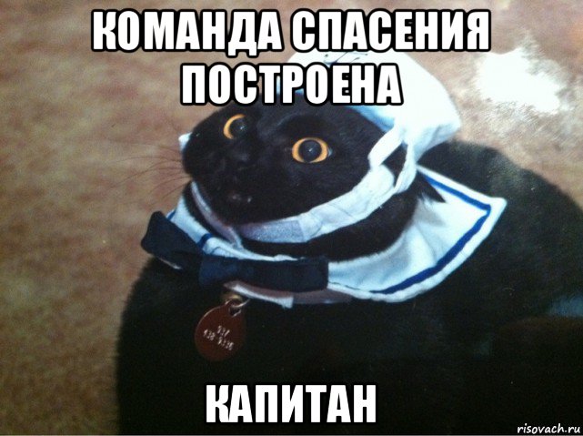 команда спасения построена капитан