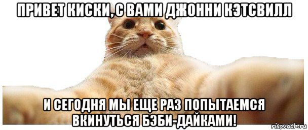 привет киски, с вами джонни кэтсвилл и сегодня мы еще раз попытаемся вкинуться бэби-дайками!, Мем   Кэтсвилл