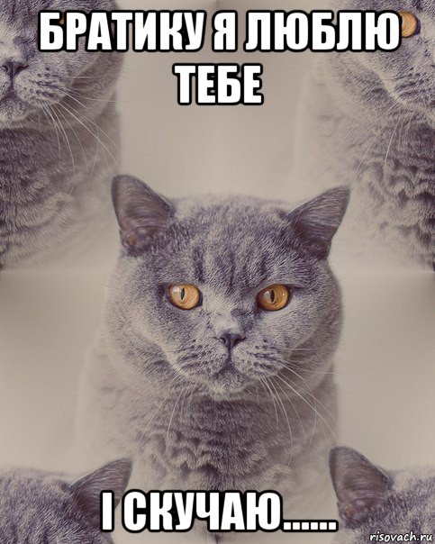 братику я люблю тебе і скучаю......