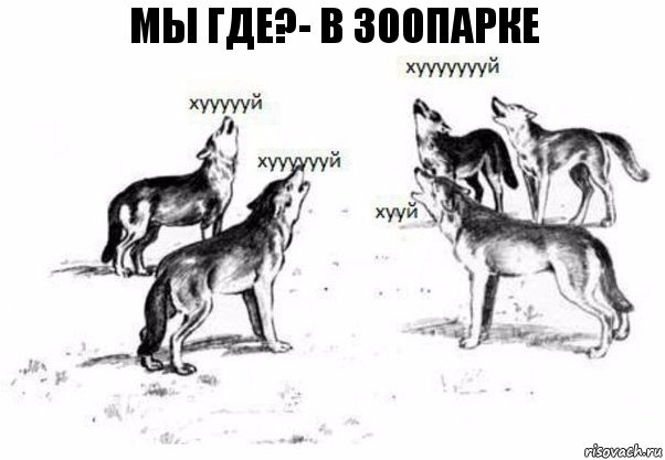 мы где?- в зоопарке