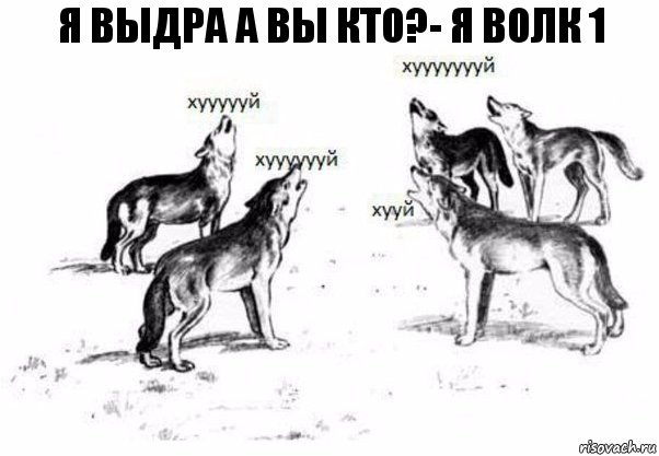 я выдра а вы кто?- я волк 1, Комикс Когда хочешь