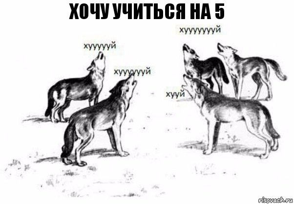 хочу учиться на 5, Комикс Когда хочешь