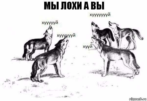 мы лохи а вы, Комикс Когда хочешь