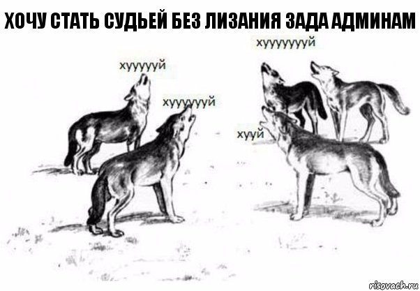 хочу стать судьей без лизания зада админам, Комикс Когда хочешь