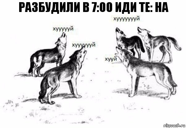 Разбудили в 7:00 иди те: на