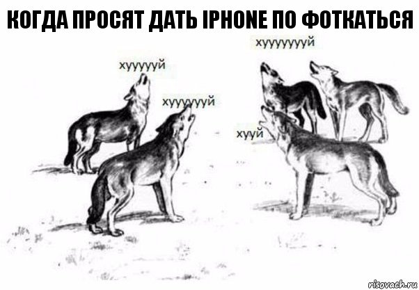 Когда просят дать iPhone по фоткаться