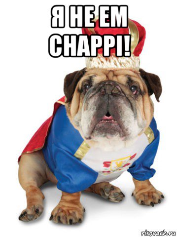 я не ем сhappi! , Мем Король Пес