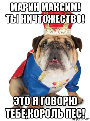 марин максим! ты ничтожество! это я говорю тебе,король пес!, Мем Король Пес