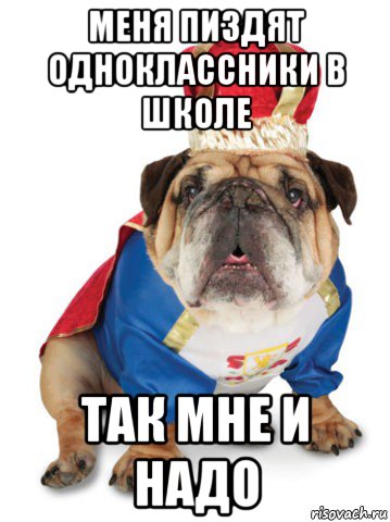 меня пиздят одноклассники в школе так мне и надо