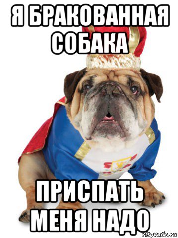 я бракованная собака приспать меня надо
