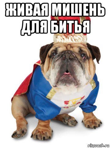 живая мишень для битья 