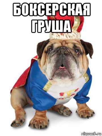 боксерская груша 