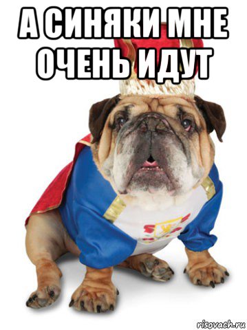 а синяки мне очень идут 