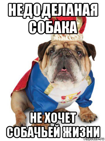 недоделаная собака не хочет собачьей жизни