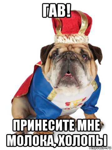 гав! принесите мне молока, холопы