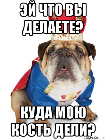 эй что вы делаете? куда мою кость дели?