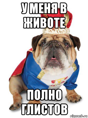у меня в животе полно глистов