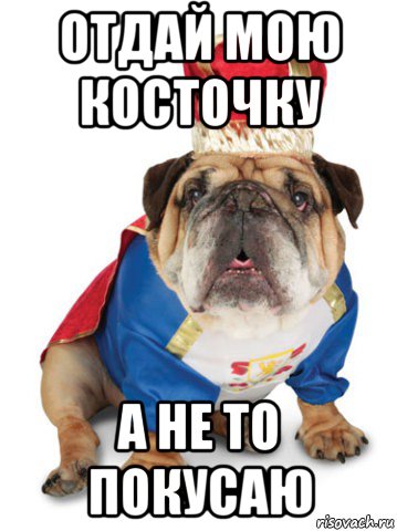 отдай мою косточку а не то покусаю
