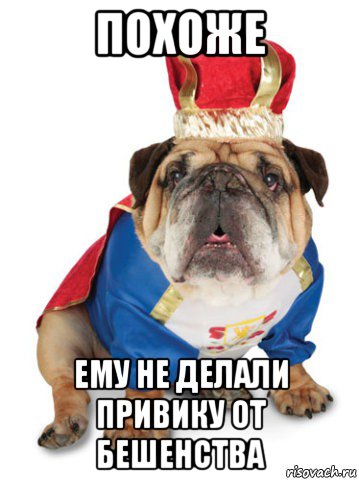 похоже ему не делали привику от бешенства