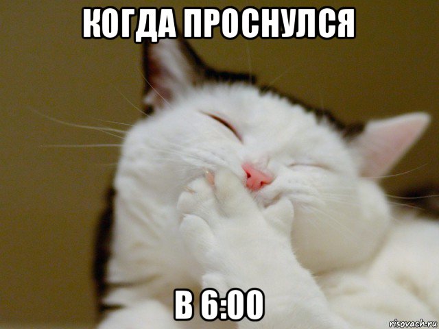 когда проснулся в 6:00