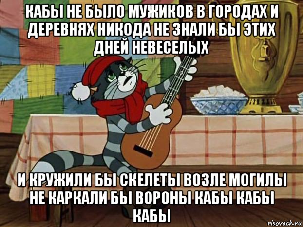 кабы не было мужиков в городах и деревнях никода не знали бы этих дней невеселых и кружили бы скелеты возле могилы не каркали бы вороны кабы кабы кабы, Мем Кот Матроскин с гитарой