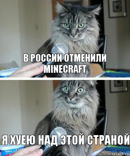 в России отменили minecraft я хуею над этой страной, Комикс  кот с микрофоном