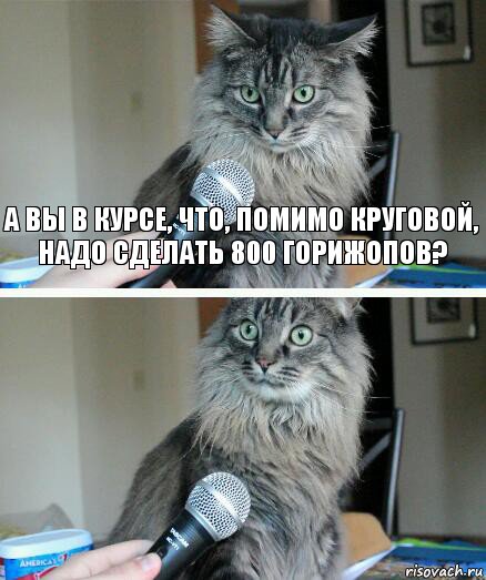 а вы в курсе, что, помимо круговой, надо сделать 800 горижопов? , Комикс  кот с микрофоном