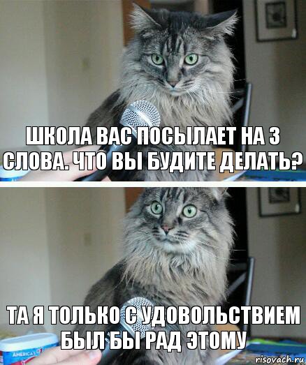 Школа вас посылает на 3 слова. Что вы будите делать? Та я только с удовольствием был бы рад этому, Комикс  кот с микрофоном