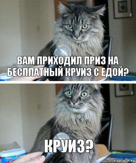 вам приходил приз на бесплатный круиз с едой? круиз?, Комикс  кот с микрофоном