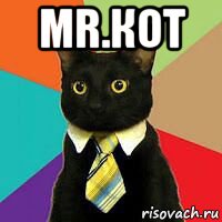 mr.кот 