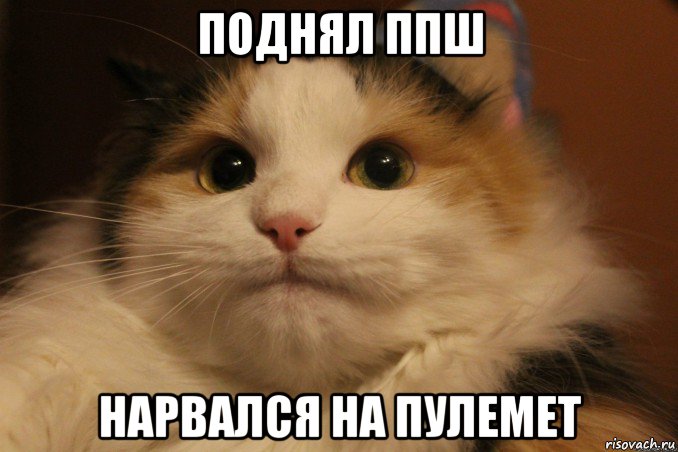 поднял ппш нарвался на пулемет