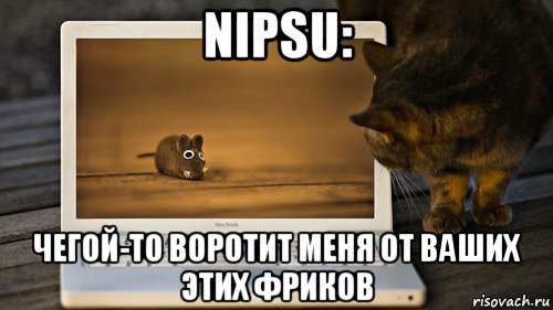 http://risovach.ru/upload/2015/10/mem/kot_95147773_orig_.jpg