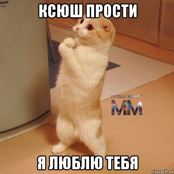 ксюш прости я люблю тебя