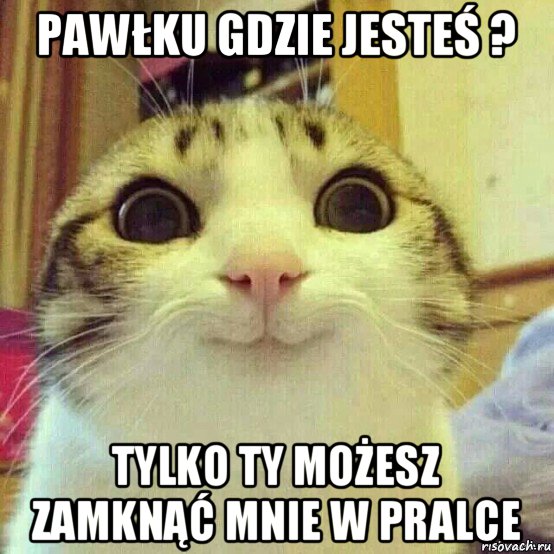 pawłku gdzie jesteś ? tylko ty możesz zamknąć mnie w pralce, Мем       Котяка-улыбака