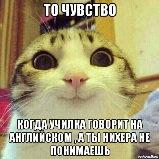 то чувство когда училка говорит на английском , а ты нихера не понимаешь, Мем       Котяка-улыбака