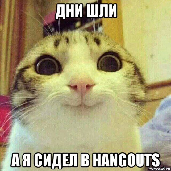 дни шли а я сидел в hangouts, Мем       Котяка-улыбака