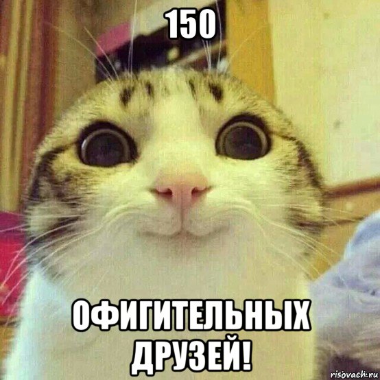 150 офигительных друзей!, Мем       Котяка-улыбака