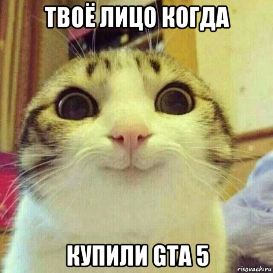 твоё лицо когда купили gta 5, Мем       Котяка-улыбака