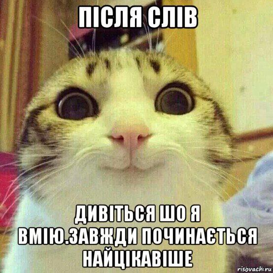 після слів дивіться шо я вмію.завжди починається найцікавіше, Мем       Котяка-улыбака