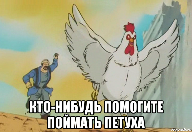  кто-нибудь помогите поймать петуха